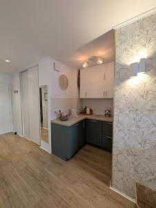 Luxury studio next to beaches and old town Antibes