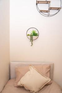 Steam Dream Town centre stay