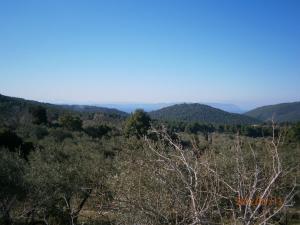 Villa Liogerma Skopelos Greece