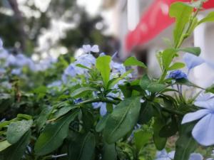 B&b Sa Scraría img8