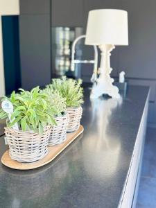 Villa with pool, petanque, large green space