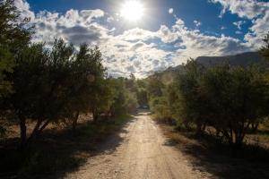 Rumali Farm & Cottage