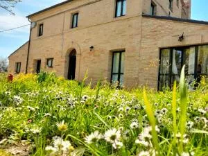 Agriturismo Campo Aperto - Morro dʼAlba