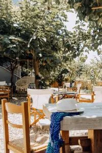 Gregory's House - Psifiá