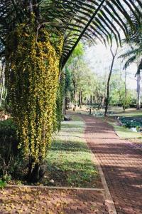 Oceanside Place Beach Resort