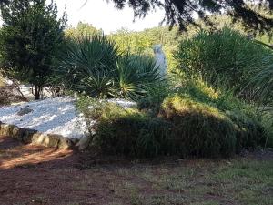 Maisons de vacances l-avene : photos des chambres
