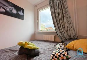 Turtle Room - 3 km to Baltic Sea