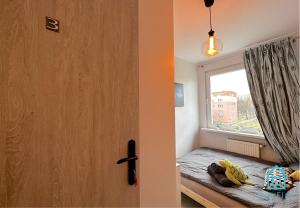 Turtle Room - 3 km to Baltic Sea