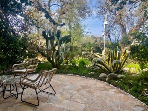 Newly renovated Apartment Olive