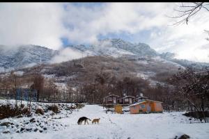 Himalayan Huts