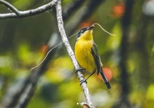 Natural - cabin, 30 min Fortuna, wifi 200mb