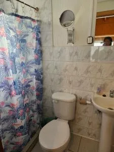 Hospedaje Lino - 奥索尔诺