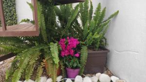 Casa Carmela axarquia