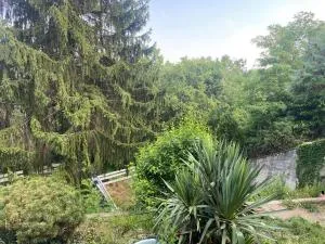 Rando Volcan Auvergne - Durtol