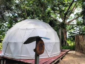 Glamping Aveja