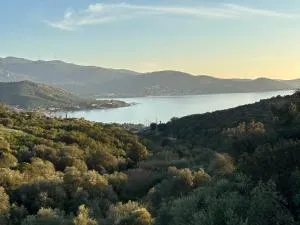 Les Terrasses de Ruppione - Villa Restonica - 科蒂基亚瓦里