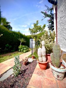 Sitges Garden Suite