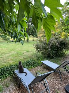 B&B / Chambres d'hotes Laguillotte : photos des chambres