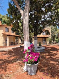 Hotel Cabañas de los Angeles