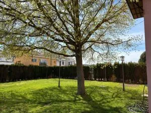 Nuevo Hotel Rasil - Nohales