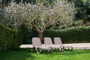 Apartments Martello Garden