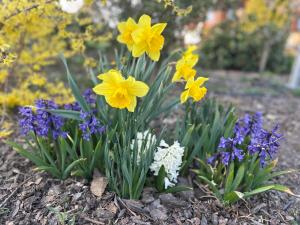 Sielanka Chwaliszów dom całoroczny
