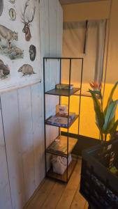 Luxe Safaritent in Grou