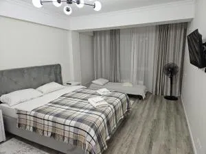 Air-Moldova Dacia - Bîc