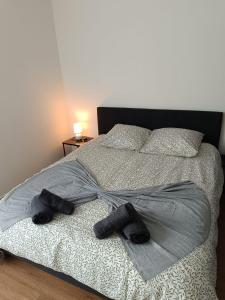 Appartements L-appart de l-Europe : photos des chambres