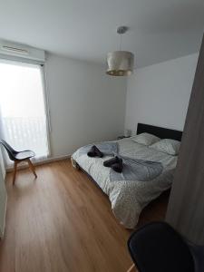 Appartements L-appart de l-Europe : photos des chambres