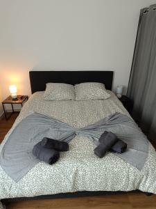 Appartements L-appart de l-Europe : photos des chambres