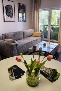 Apartament Dzierżonia 12