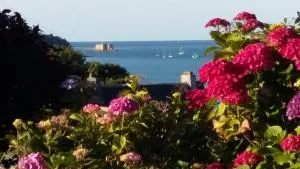 Gîte des Hortensias - Old farmhouse - Sea view - Henvic
