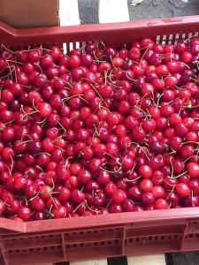 Sejours chez l'habitant La Petite Maison de Charme : photos des chambres