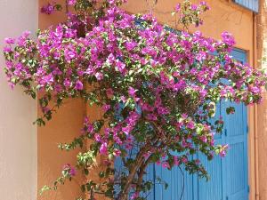 Sejours chez l'habitant La Petite Maison de Charme : photos des chambres