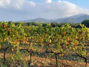 Sejours chez l'habitant La Petite Maison de Charme : photos des chambres