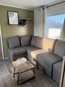 Chalet Drentse Lente