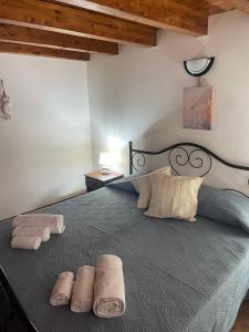 La Casa degli Enzi img16