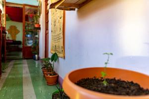 Casa Vrinda La Paz