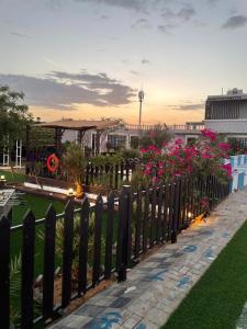 استراحة الديم بالمشاعله