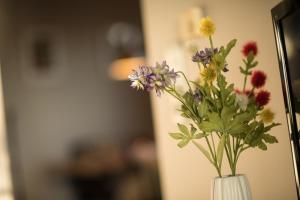 Kleiner Sundblick – Ferienwohnung in Lemkenhafen