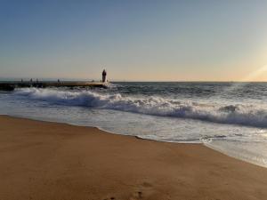 Appartements Joli 2 pieces sur le port avec piscine, terrasse, parking : photos des chambres