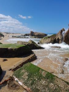 Appartements Joli 2 pieces sur le port avec piscine, terrasse, parking : photos des chambres