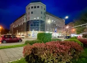 Stan na dan Flower - 沙巴茨