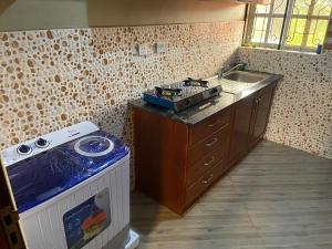 The Golden Suite Apartment