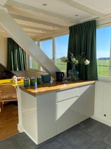 Amsterdam Garden Studio