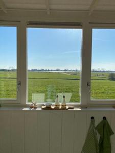 Amsterdam Garden Studio