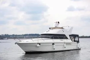 Shannon River Ecape in the center of Athlone - 阿斯隆