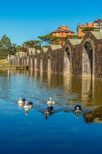Rosa Edificio Jardim dos Lagos