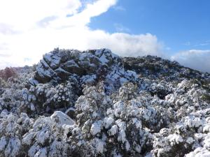 Rifugio Ortobene img76